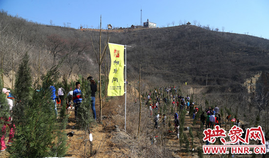 植樹現(xiàn)場如火如荼