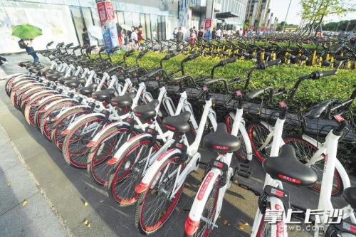 昨日下午，在開福區(qū)萬達(dá)廣場，成片的共享單車停放在廣場前坪。 長沙晚報記者 黃啟晴 攝