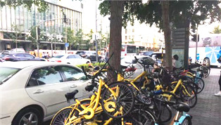 共享單車在中關(guān)村：誰(shuí)是最討厭它們的人