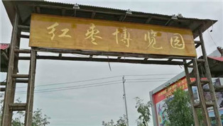 好想你紅棗文化節(jié)將開幕 棗香滿園等你來(lái)