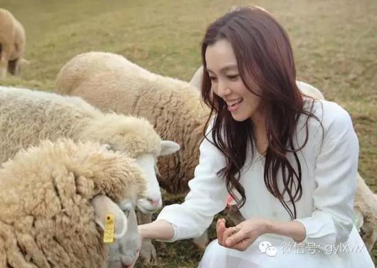 明星旅行糗事一籮筐 總有一個(gè)萌到你！