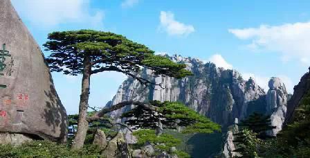 門(mén)票那么貴 沒(méi)法玩耍了！