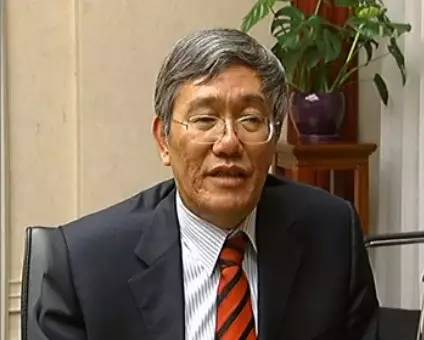 中央財經(jīng)領導小組辦公室副主任楊偉民