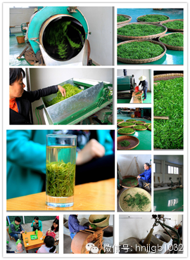 制茶的工藝真地道，仿佛聞到了茶香