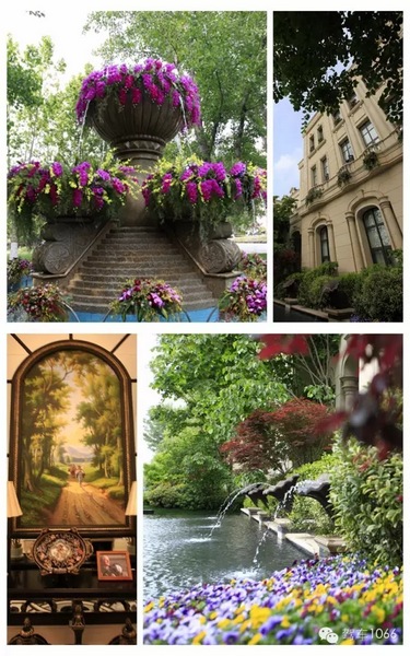 鴻園美景令人醉 鴻園美景令人醉