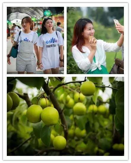 美女與香梨，你更愛哪一個？！