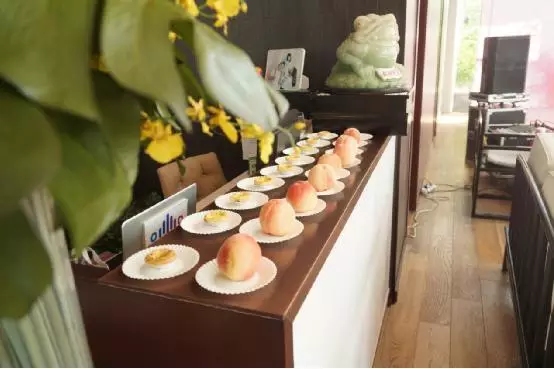 水果、飲料、點(diǎn)心等冷餐自助持續(xù)供應(yīng)滿足嘉賓的胃和味蕾