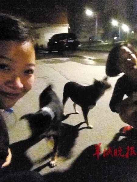 中傳兩條流浪狗常深夜護(hù)送女生 中傳兩條流浪狗常深夜護(hù)送女生