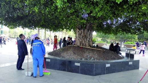 物管人員打算拆除小帳篷（白圈），小孩在一旁依依不舍