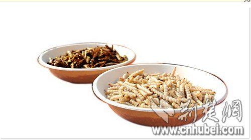 待制作的蝗蟲(chóng)(左)和竹蟲(chóng)食材 待制作的蝗蟲(chóng)(左)和竹蟲(chóng)食材