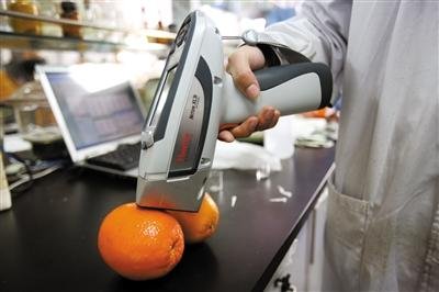 北京發(fā)現(xiàn)染色橙子:表皮被染色果肉幸免(圖) 北京發(fā)現(xiàn)染色橙子:表皮被染色果肉幸免(圖)