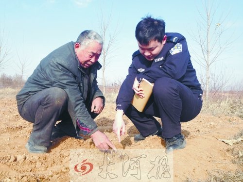 牡丹苗被盜之后，郭萬通又補種的牡丹苗已經(jīng)發(fā)芽