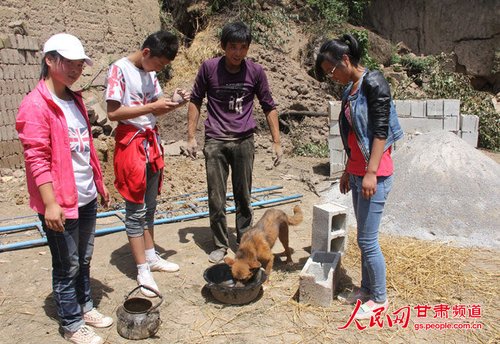 渴壞了的小黃狗在喝水。王生元/攝