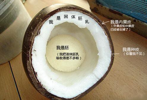 你在甜品店常吃的東西，到底都是啥？