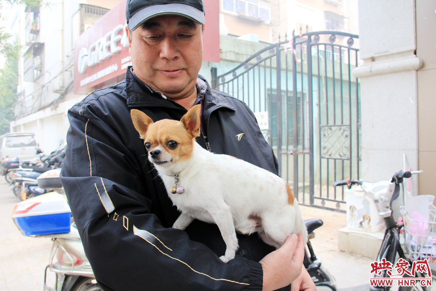 在市民眼里，小狗狗都是他們的小寶貝
