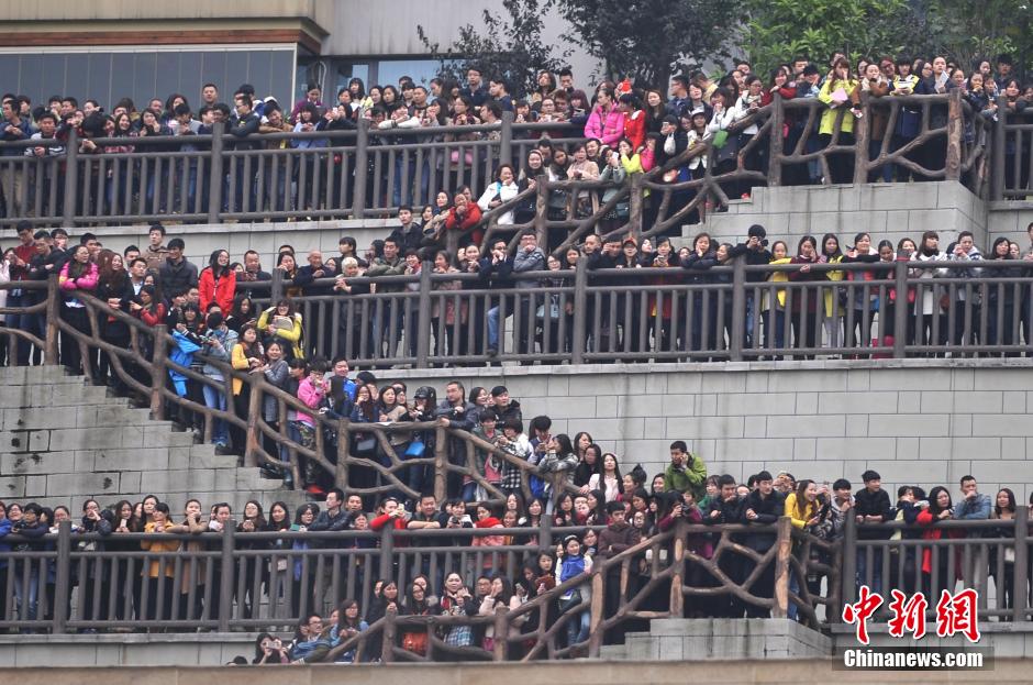 重慶上萬粉絲在南濱路等待《奔跑吧兄弟》節(jié)目的錄制。