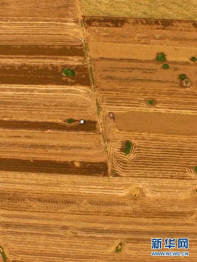 這是5月28日在河南省南陽市唐河縣甘河灣村航拍的麥收現(xiàn)場。
