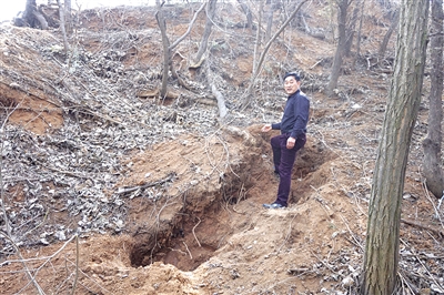 巨型葛根被刨出現(xiàn)場 巨型葛根被刨出現(xiàn)場