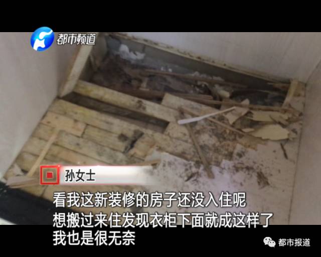 蟻?zhàn)宕筌娙肭?！十幾萬裝修的新家被“吃掉”