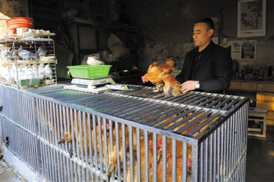 南京另一家農(nóng)貿(mào)市場內(nèi)待售的活雞。因南京出現(xiàn)H7N9禽流病例，買活雞的顧客減少。