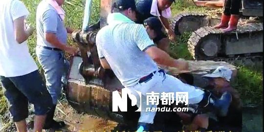 幾名戴黑帽的男子將一名老人推入水塘，后反復腳踹。