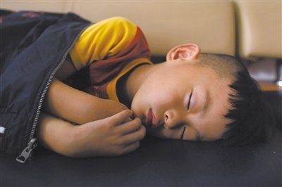 9月6日，等待錄制節(jié)目的多多躺在沙發(fā)上熟睡。新京報(bào)記者 侯少卿 攝