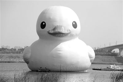 昨日，經(jīng)過連夜修正，大黃鴨的嘴部已恢復(fù)變寬，和在香港展出時看起來一樣。