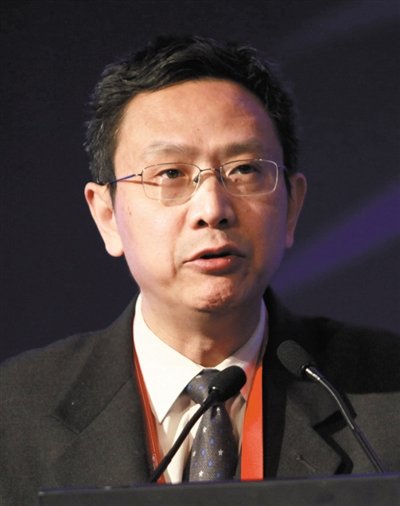 財(cái)政部財(cái)政科學(xué)研究所所長賈康。圖/CFP