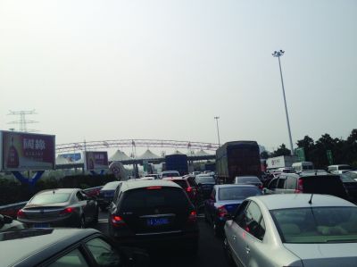 收費(fèi)站前長(zhǎng)長(zhǎng)排隊(duì)的車輛。陳郁