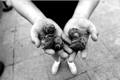 “大煙殼”輕易就可以買到。下圖：女?dāng)傊髂贸霾卦诩t色兜子里的“大煙殼”，向記者兜售。京華時報實習(xí)記者趙思衡攝