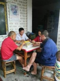 掃水掃不及，胥家鎮(zhèn)柏河村的居民干脆打起了麻將。