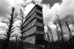 這幢5層的“片片樓”周圍已是一片拆遷后的廢墟，左邊的一堵墻上，不少鋼筋裸露在外面 圖片來(lái)源：新華網(wǎng)