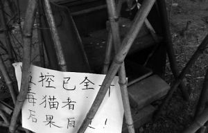 貓糧中被投放藥物 貓糧中被投放藥物