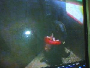 侯某被摁倒割喉。