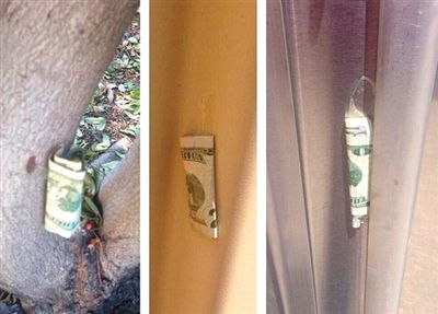 “隱藏的鈔票”會(huì)被神秘人藏在公園、廁所等“奇怪的地方”。