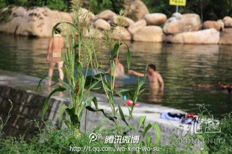 網(wǎng)友曝光的現(xiàn)場(chǎng)圖片。（圖片來(lái)自網(wǎng)絡(luò)）