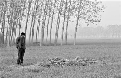 11月21日，高松中站在腦癱雙胞胎兒子墳前。