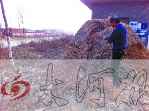 張哥、張弟就是在這兒撿到的投毒面包。