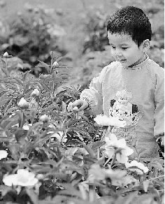 　春光里,鄭州處處皆美景。