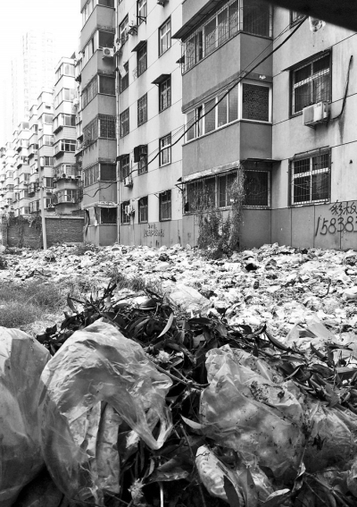 透過(guò)擋板縫向內(nèi)看，30多米垃圾已經(jīng)將居民樓包圍。