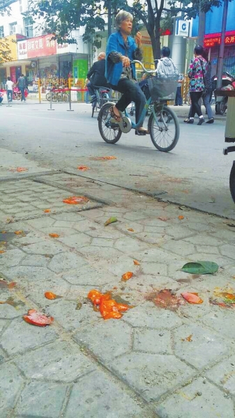 爛了一地的柿子影響市容，還常?；谷?。