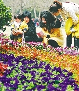 近距離才能拍得更真切。