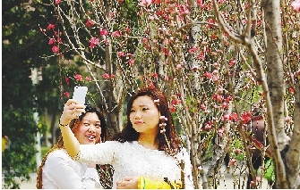 市民在公園與花合影。