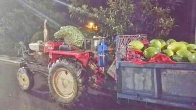 瓜農(nóng)趴在拖拉機上沉睡 許占源供圖 瓜農(nóng)趴在拖拉機上沉睡 許占源供圖