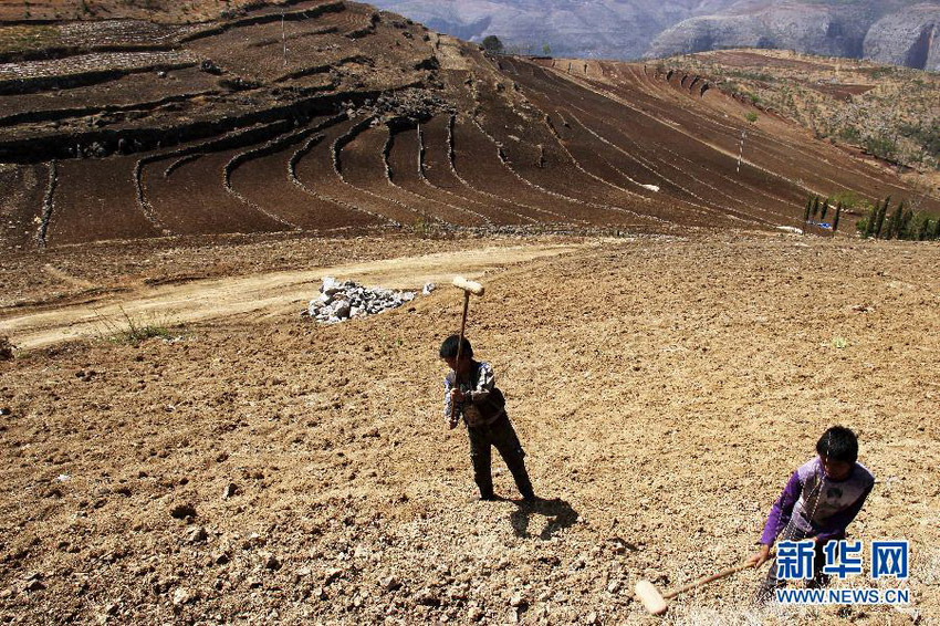 3月16日，在貴州省畢節(jié)市威寧縣斗古鄉(xiāng)中關(guān)村，兩個孩子幫助家人在干旱的土地上勞動。