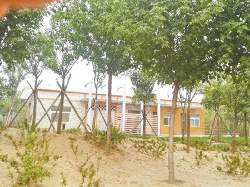 鄭州近百個(gè)公廁天天鎖門 附近綠地卻成便溺處 鄭州近百個(gè)公廁天天鎖門 附近綠地卻成便溺處