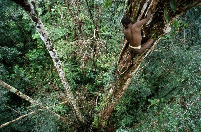 揭秘原始部落“樹屋人” 揭秘原始部落“樹屋人”