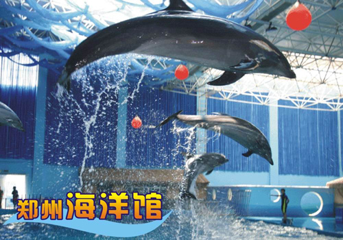 鄭州海洋館 鄭州海洋館