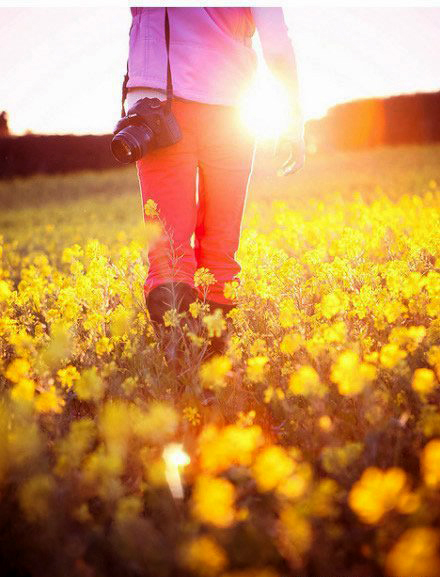 如何拍攝油菜花？達人教你7個拍攝技巧