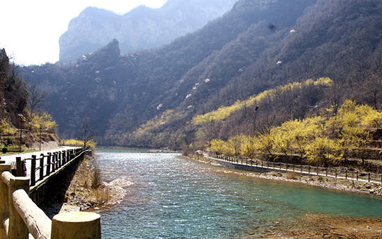 有一種呼喚，叫春天里的蟒河！